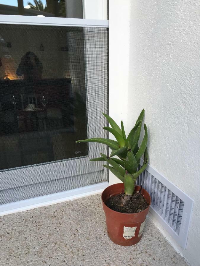 Loft Arco Del Cristo. Appartement Caces Buitenkant foto